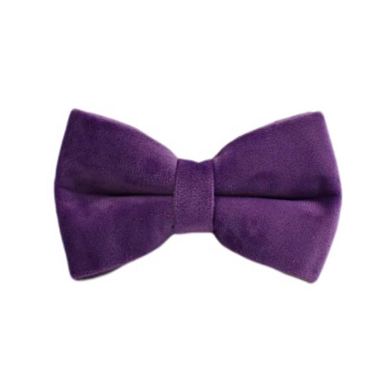 Purple Velvet Dog Collar & Leash Set