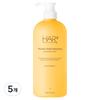 Hair Plus Protein Bond Shampoo Birne & Freesie 1L 5 Stück