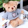 New-style Multi-functional Recording Teddy Plush Toy Retro Sweater Design China-made Couples Teddy Bear