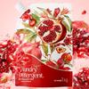 Zhihu Red Pomegranate Fragrance Laundry Detergent