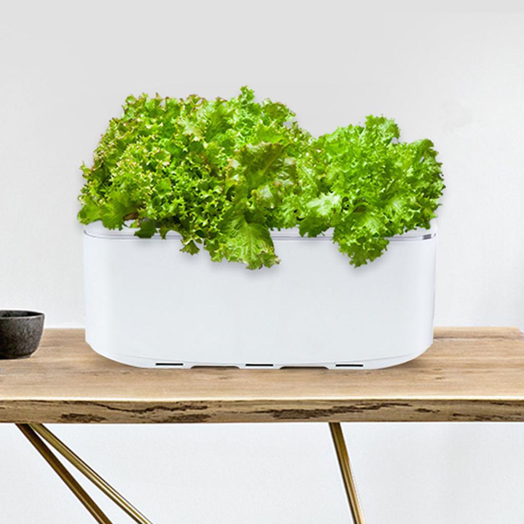 Self Watering Planter Automatic Hydroponics Growing System Smart Indoor Garden Planter for Home Flower Vegetable