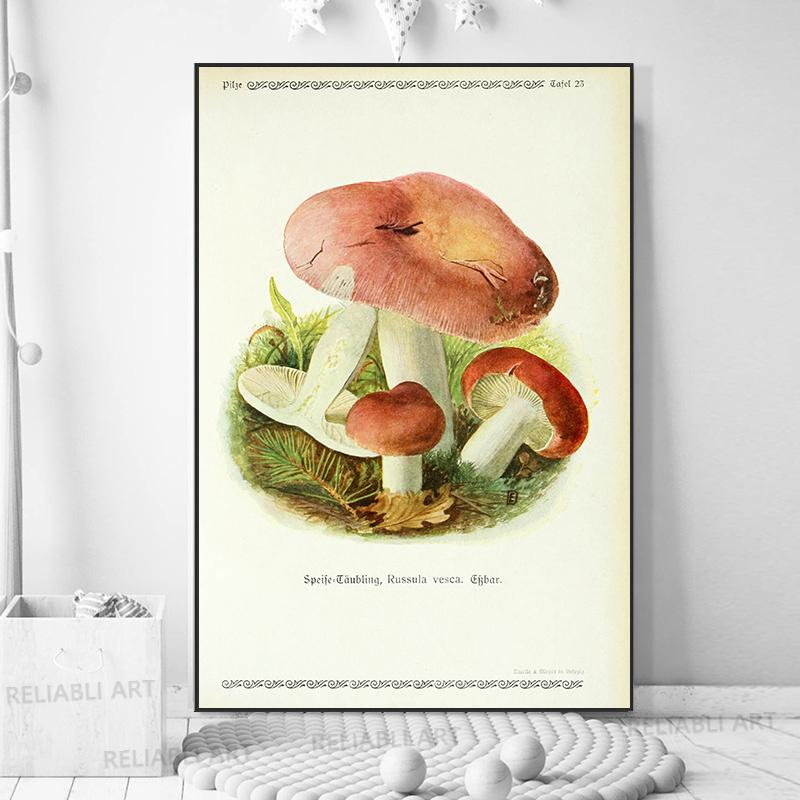 Vintage Mushroom Exemen Malba na plátně Starožitné umění na zeď Bylinné obrazy Vědecké plakáty a grafiky Dekor domácí kanceláře Cuadros