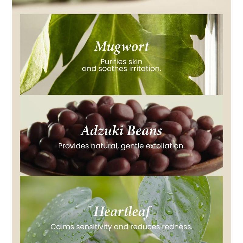 AXIS - Y - Beifuß Porenklärendes Abwasch-Pack