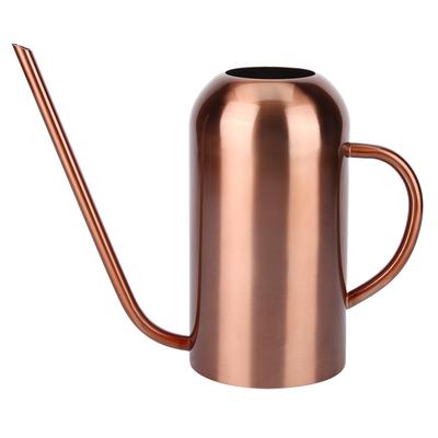 Arrosoir en acier inoxydable de 1,5 L, pot d'arrosage à long bec, outil pour fleurs de jardin et plantes