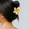 Fermaglio per Capelli Acrilico a Forma di Fiore Grande 8cm Sfumato per Donne Fermagli Dolci Pinze per Capelli Pinze a Granchio Mollette Accessori per Capelli Hawaiani