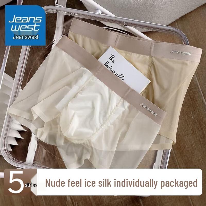 

JEANSWEST Мужские дышащие боксеры-брифы из ледяного шелка, 5 штук 4XL