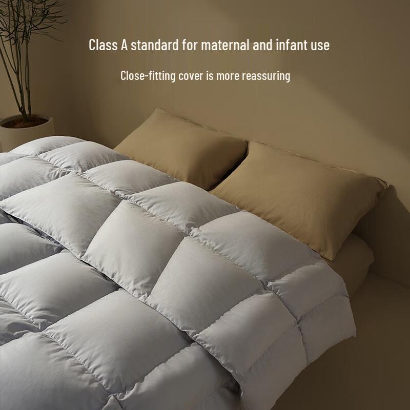 JDZ Premium Down Winter Comforter