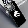 C-CSGO Team G2 F-Faze Spirit Phone Case For iPhone 16 13 15 14 12 11 Pro Max Grey Black Matte Laser Metallic Aurora Funda