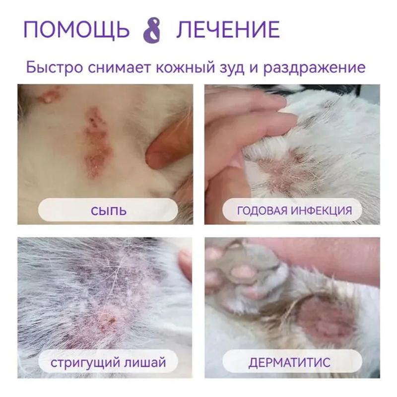 Cat Skin Care Spray 100ml Natural Formula for Itchy Skin Relief Treats Fungal Bacterial Infections