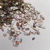Piedras de Concha de Terrazzo Blanco y Negro de Nácar para Decoración de Acuario y Maceta