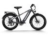 Himiway D5 Step-Over Fat Tire E-Bike – 250W, 48V 20Ah, 125km Range