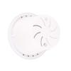 Automatic Water Absorbing Transparent Pot Creative Round Office Desktop Green Plant Hydroponic