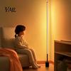 Indoor Lighting for Apartment USB Floor Lamp Bedroom, 50/100cm Modern Standing Light with Remote, Metal Reading Bedroom 360 Degree Dimmable LED Corner