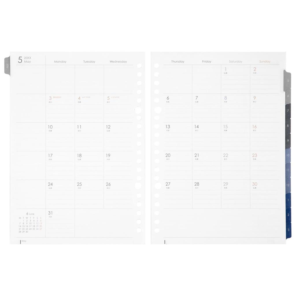 Maruman 2025 A5 Loose-Leaf Diary Refill, 20-Hole, Starting in April 2025 (LD2834-25)