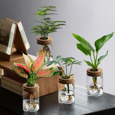 Glass Hydroponic Flower Holder Transparent Flower Pot Mountain Viewing Bottle  Plant