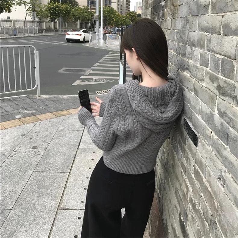 Short Twist Hooded Zipper Knitted Cardigan Women's Slim-fit Sweater Jacket