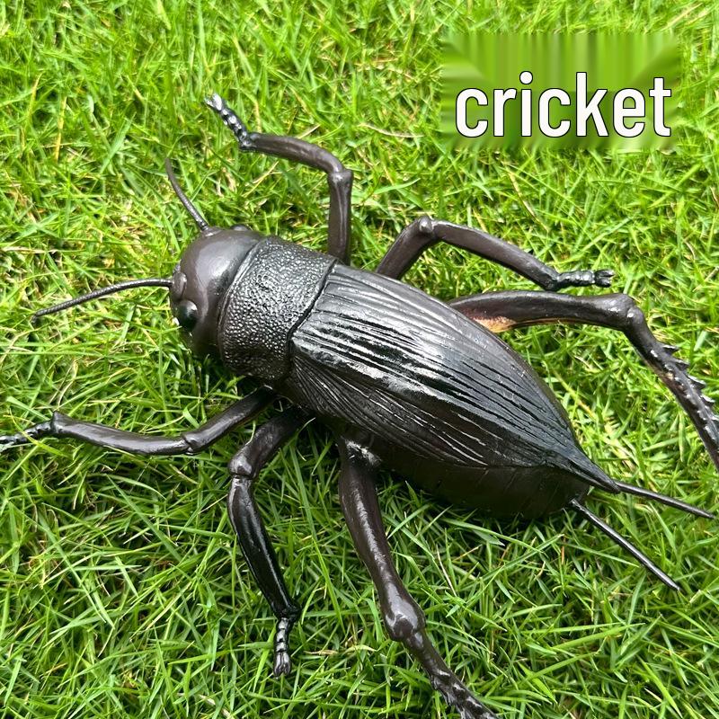 

Large Children s Toy Animal and Insect Models for Kindergarten - Spider & Scorpion
