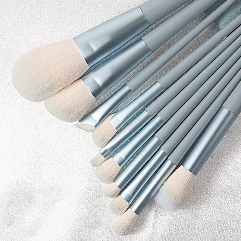 10pcs Professional Makeup Brush Set with Accessories for Combination Skin- Featuring Soft Brushes Suitable for Beginners