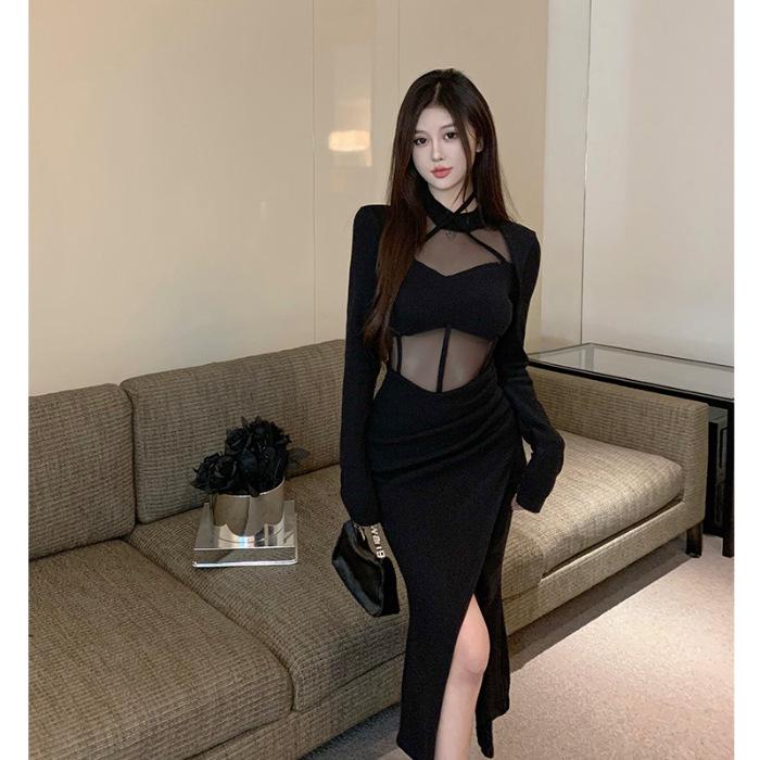 Spring Mesh Splice Long Sleeve Dress - Sexy Hip-Length Slit Skirt