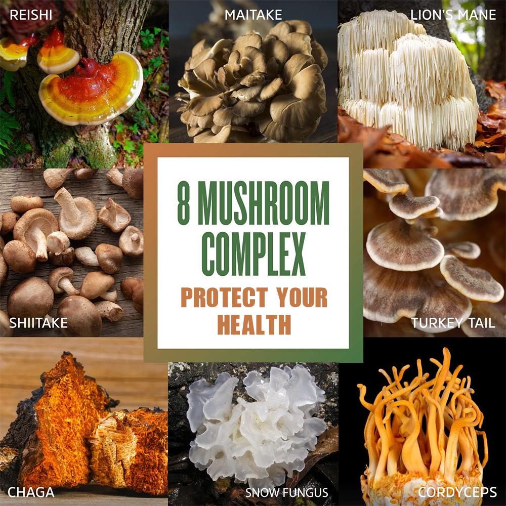 Bio 8-Pilz-Komplex-Mischung 120 Vegane Kapseln Nahrungsergänzungsmittel