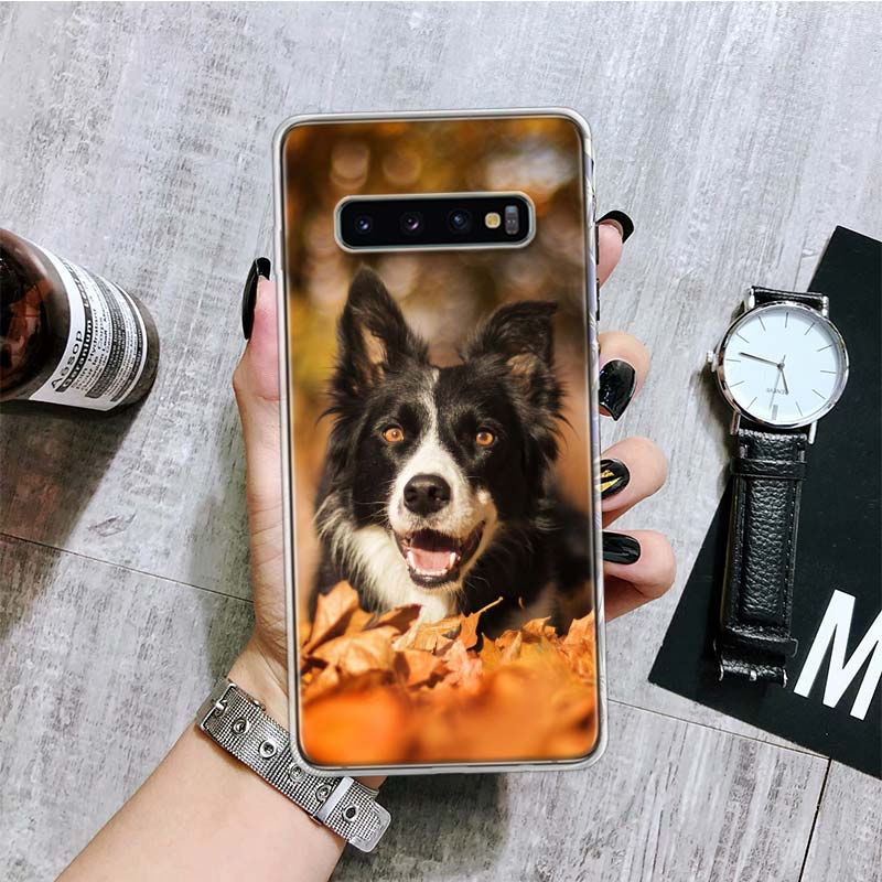 Border Collie Clever Phone Case For Samsung Galaxy S26 S25 Edge S24 S23 FE S22 Ultra S21 Plus S20 + Fundas Cover Coque Galaxy S2