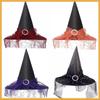 Mysterious Witch Hat with Lace Veil - Halloween Magician Costume Accessory