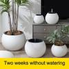 Spherical Automatic Watering Flower Pot Plastic Water Storage Flower Pot Potted Flower Pot  Garden