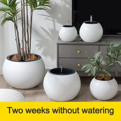 Plastic Hydroponic Planter Spherical Water Storage Flower Pot New Potted Flower Pot  Office