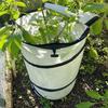Pop Up Design Pop Up Plant Frost Cover Foldable Winter Plant Protection  Garden Use