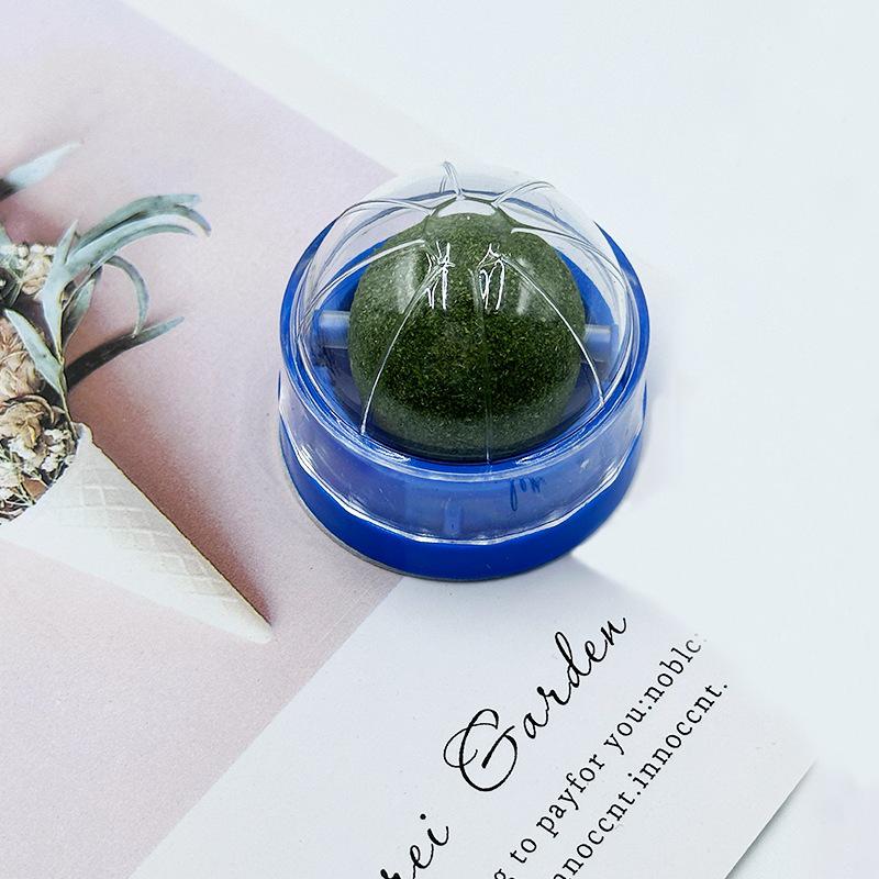 Catnip Matatabi Teasing Ball and Chew Stick for Kitten Play