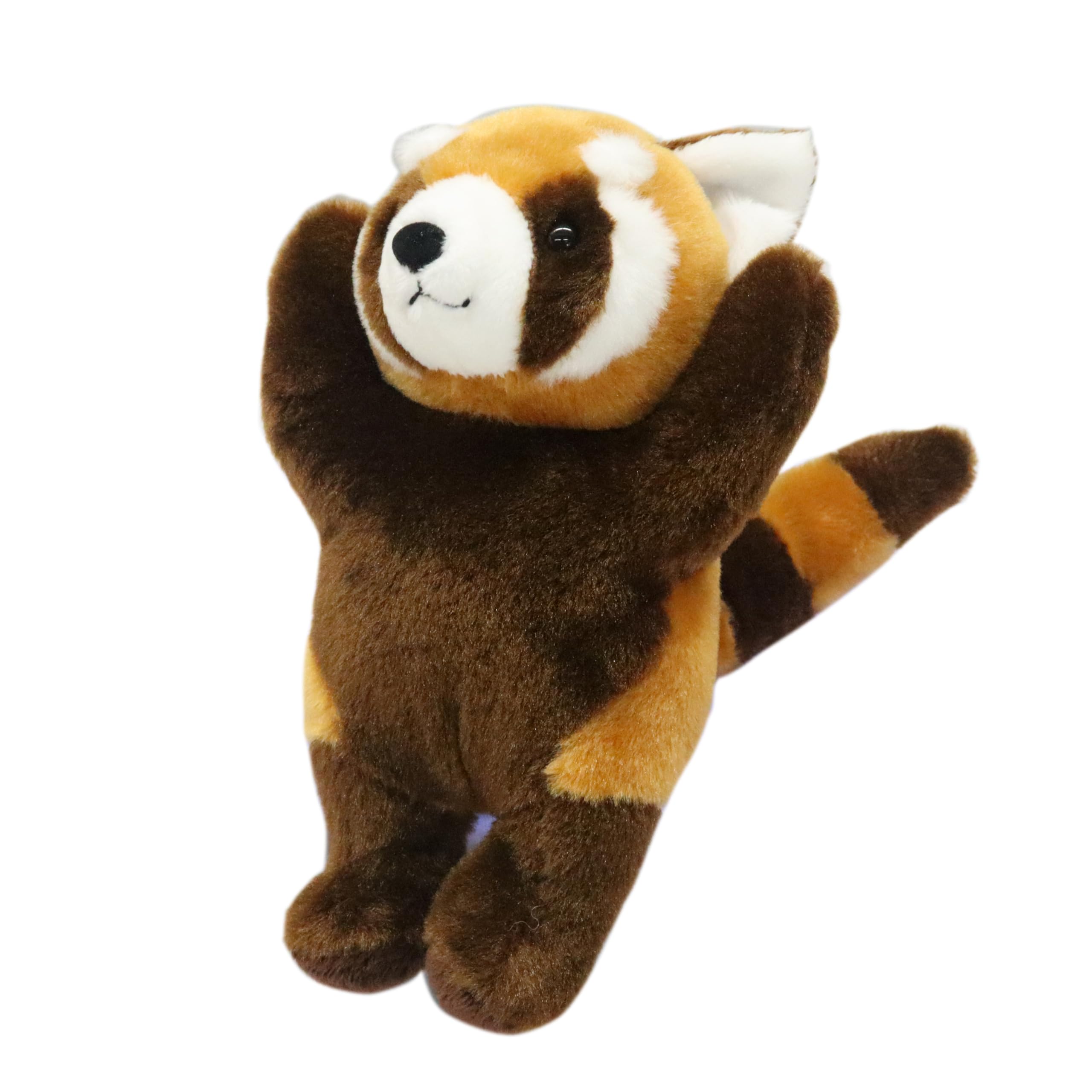 

Takeoff Intimidating Zoo (S) Red panda with both hands raised in a threatening pose