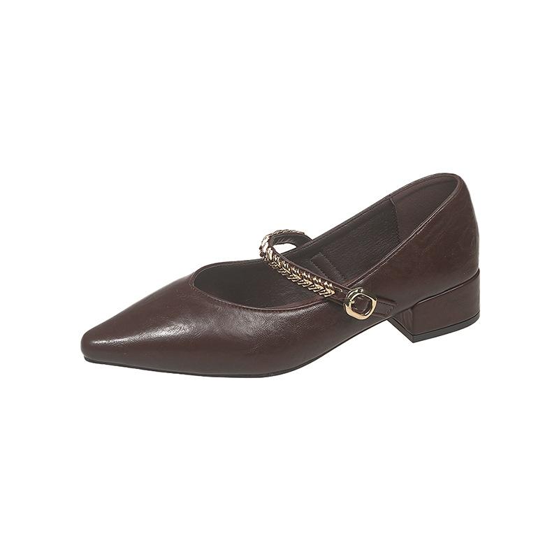 Spring and Autumn New French Retro Thick Heel Chain Mary Jane Women's Single Shoes Pointed Shallow Mouth One-word Buckle Granny Shoes