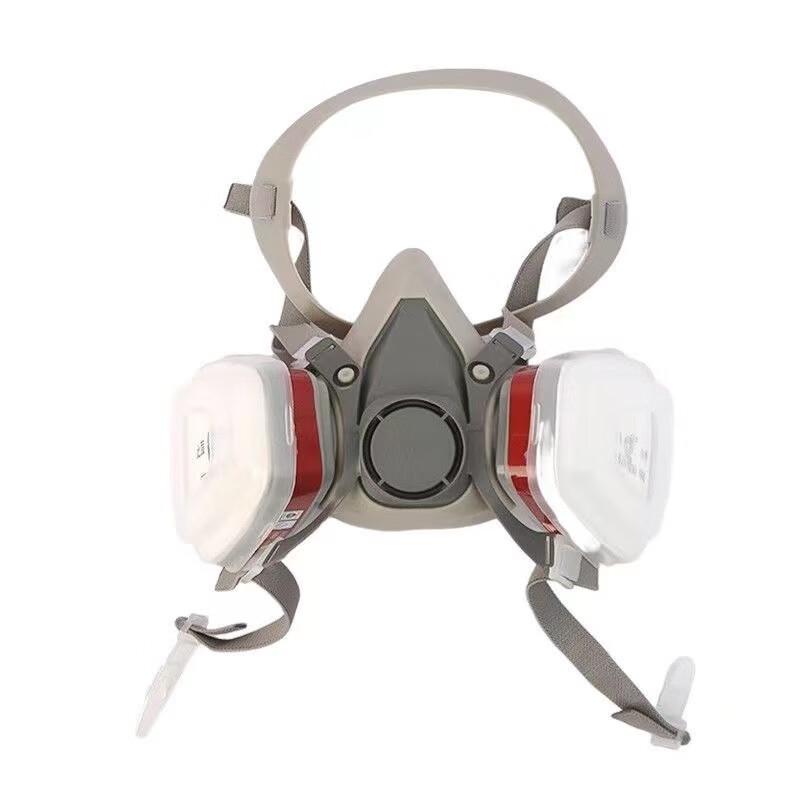 Brangdy 6200 Anti-Poison Dust Mask with Goggles