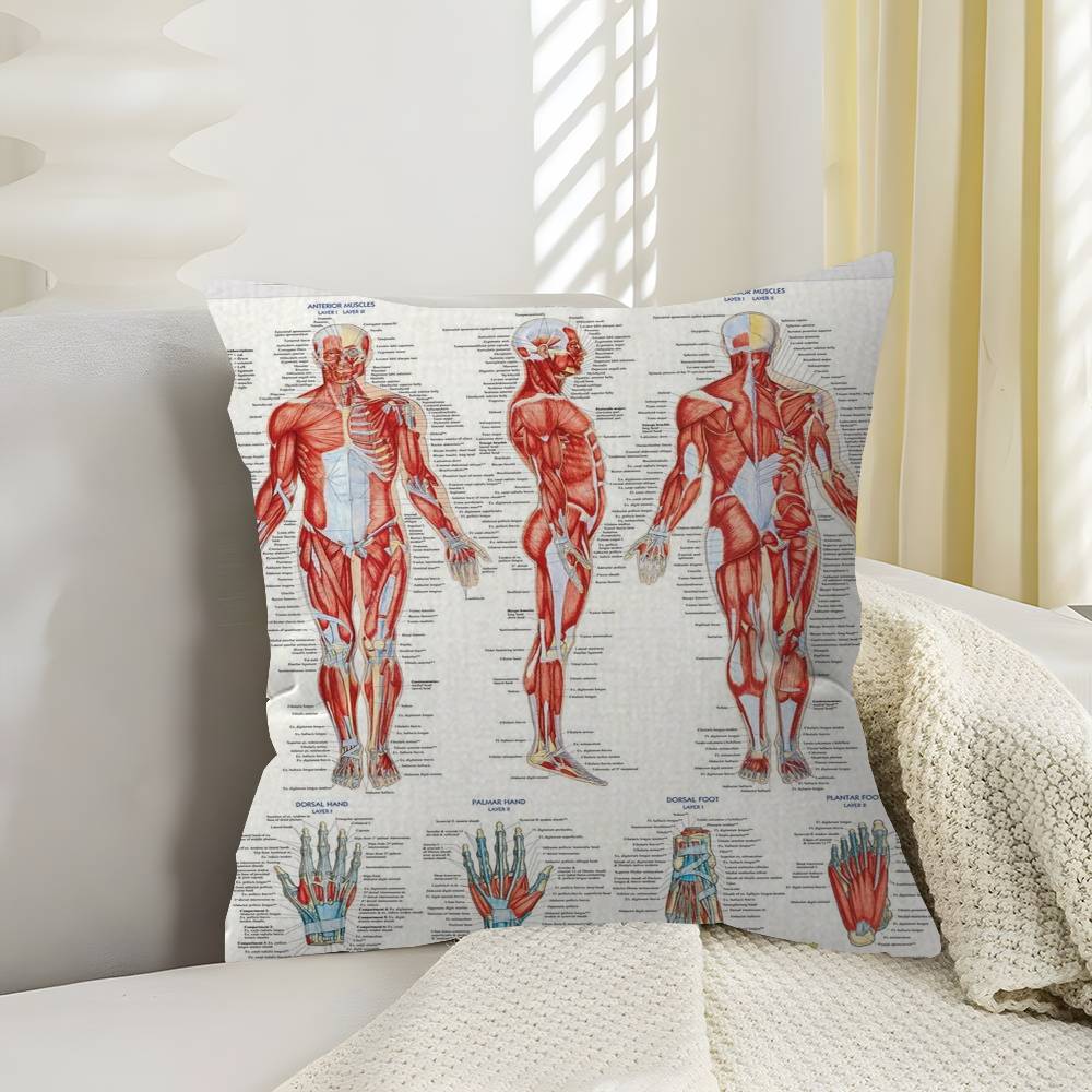 

Anatomy The Neck Muscles Head Face Muscles Overview Art Medical Pillow Cover for Bedroom Room and Living Room Sofa Decorative 30x30 cm