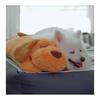 Dog Toy Popular Dog Toy Heartbeat Plush Dog Toy Chew Unbreakable Stuffed Toy (Light Brown)