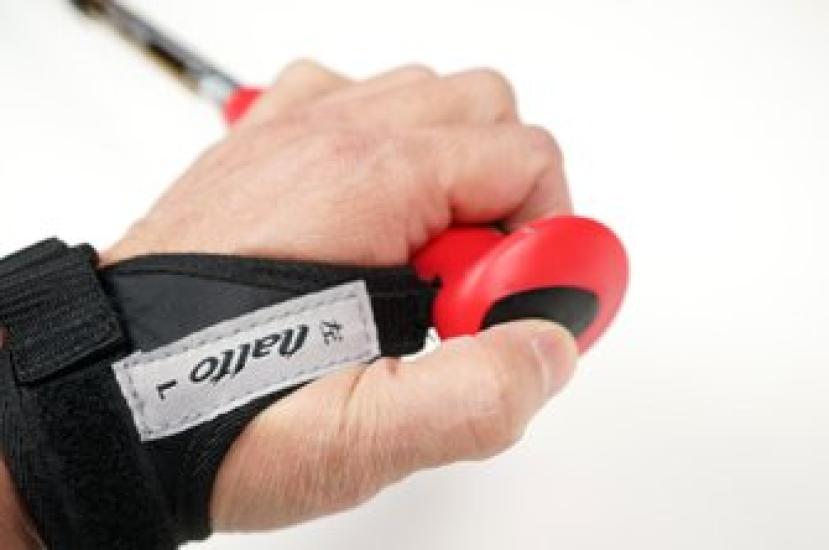 Naitokougei naito Made in Japan Full Carbon Telescopic Nordic Walking Pole internasjonalt sett med 2 rød linje blå (Knight Crafts) 2-trinns NWP-2140804