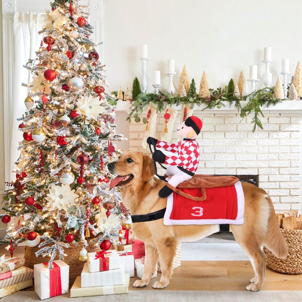 Husdjursdräkt för jul Ridsadel Riddare Hundkläder