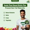 Zandu Plant Based Biotin Plus Powder 200 g Ayurvedic Hair Skin Nail Nutrition Blend With Sesbania Gluten Free Supplement