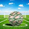 1pc Sheep Pastoral Scene Theme Soccer Ball Football, Size 5, Lightweight PVC, Outdoor Training Soccer Ball,Sports Gift t6146