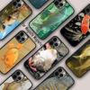 Common-Carp Magnetic Phone Case For APPLE iPhone 17 Air 16 14 13 12 Pro Max 15 Plus Wireless Charge With MagSafe Cover