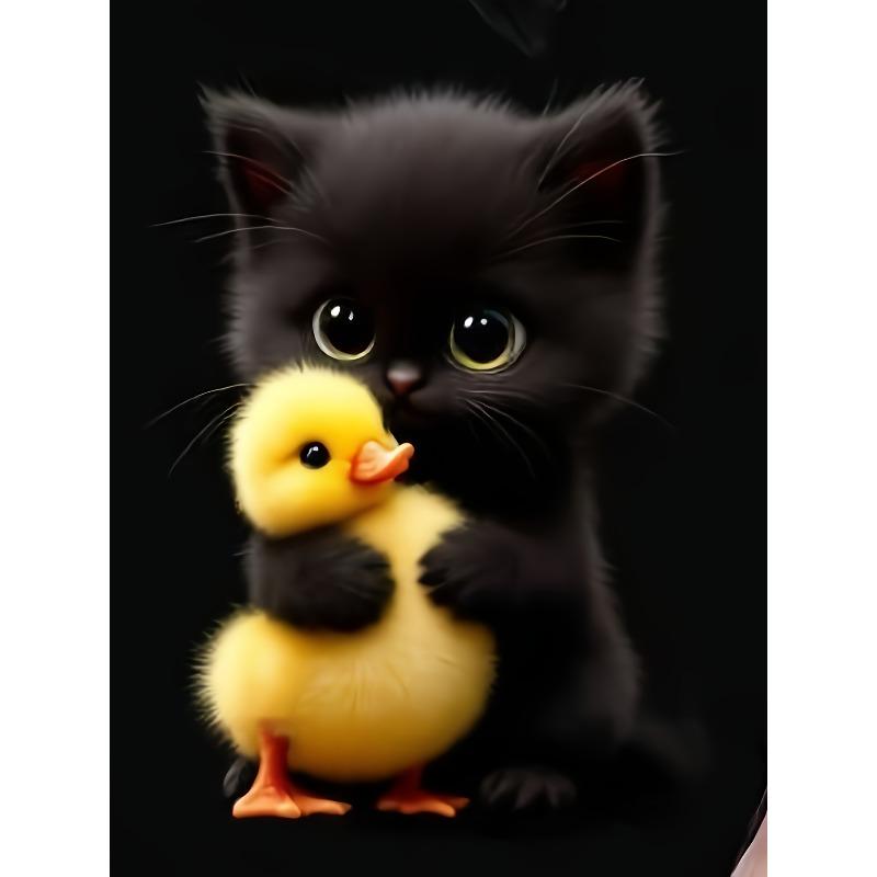 Womens Cute Kitten Duckling Graphic Tee Soft Black Pet Lover Print Short Sleeve Casual Top Spring Fall Everyday Wear Machine Washable