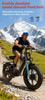 Nathaniel SYR08 Stadtelektrofahrrad, Doppelmotor 2000W, 20x4.0 integrierte Räder, 48V20AH, Schnee-/Sand-Outdoor-Fahrrad