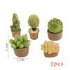5Pcs Lifelike Mini Artificial Fleshy Cactus Plant Real Touch Palm Bonsai Landscape Table Decoration