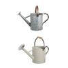 Regador 4L/5L Regador de Ferro com Alça Confortável Pequeno Regador de Jardim Bico Longo para Interior Exterior