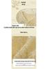 Spring/Summer National Style Jacquard Vest – Elegant Jacket for Middle-aged and Elderly Women