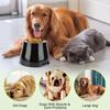 Stainless Steel Dog Food and Water Bowl Easy To Clean Dishwasher Safe Anti-Slip Dog Bowls for Small Medium Large Sized Pets