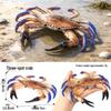 Ocean Crab Simulation Toy Set: Includes Hermit, Swimming, and Three-Spot Plastic Models