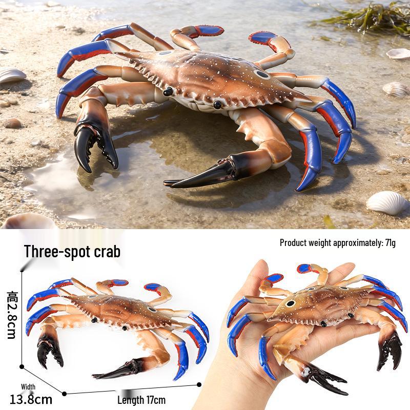 Ocean Crab Simulation Toy Set: Includes Hermit, Swimming, and Three-Spot Plastic Models