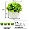 East Leaf Faux Greenery, Artificial Plants, Mini Potted Plants, Stylish Decorative Gift, Set of 4