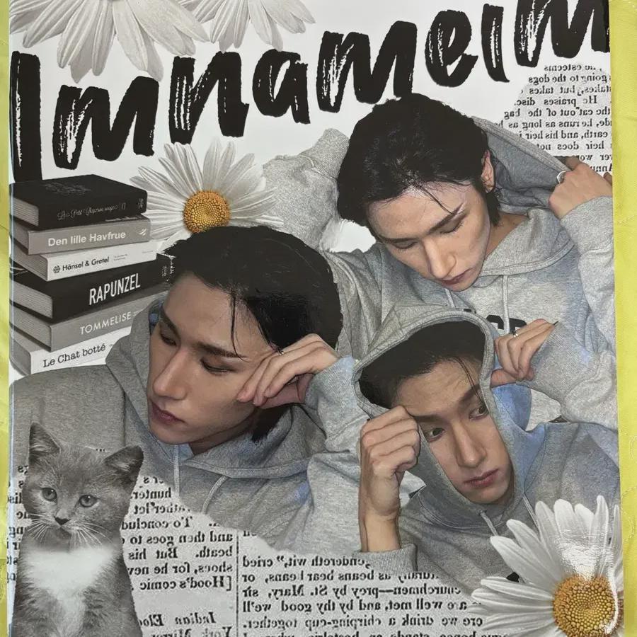 

Filled Germ Binder